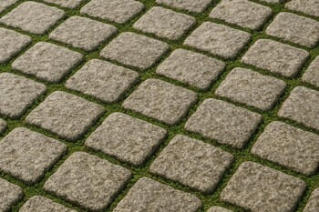 Organik formlu taş basamakların arasından yükselen yeşil bitkiler