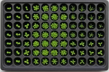 Bitki adalarını simgeleyen küçük grid parçalarıyla hazırlanmış peyzaj maketi